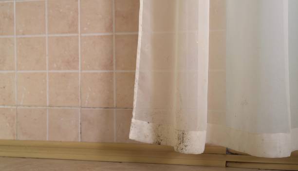 Mold Removal for HVAC Installations in Hallam, PA
