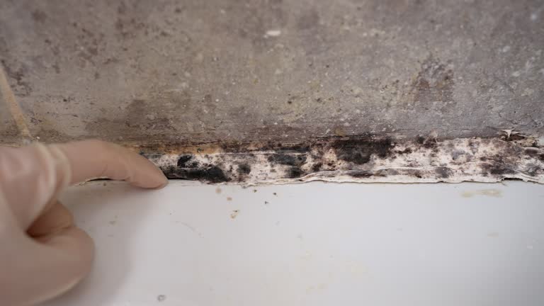 Dehumidification Services in Hallam, PA